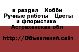  в раздел : Хобби. Ручные работы » Цветы и флористика . Астраханская обл.